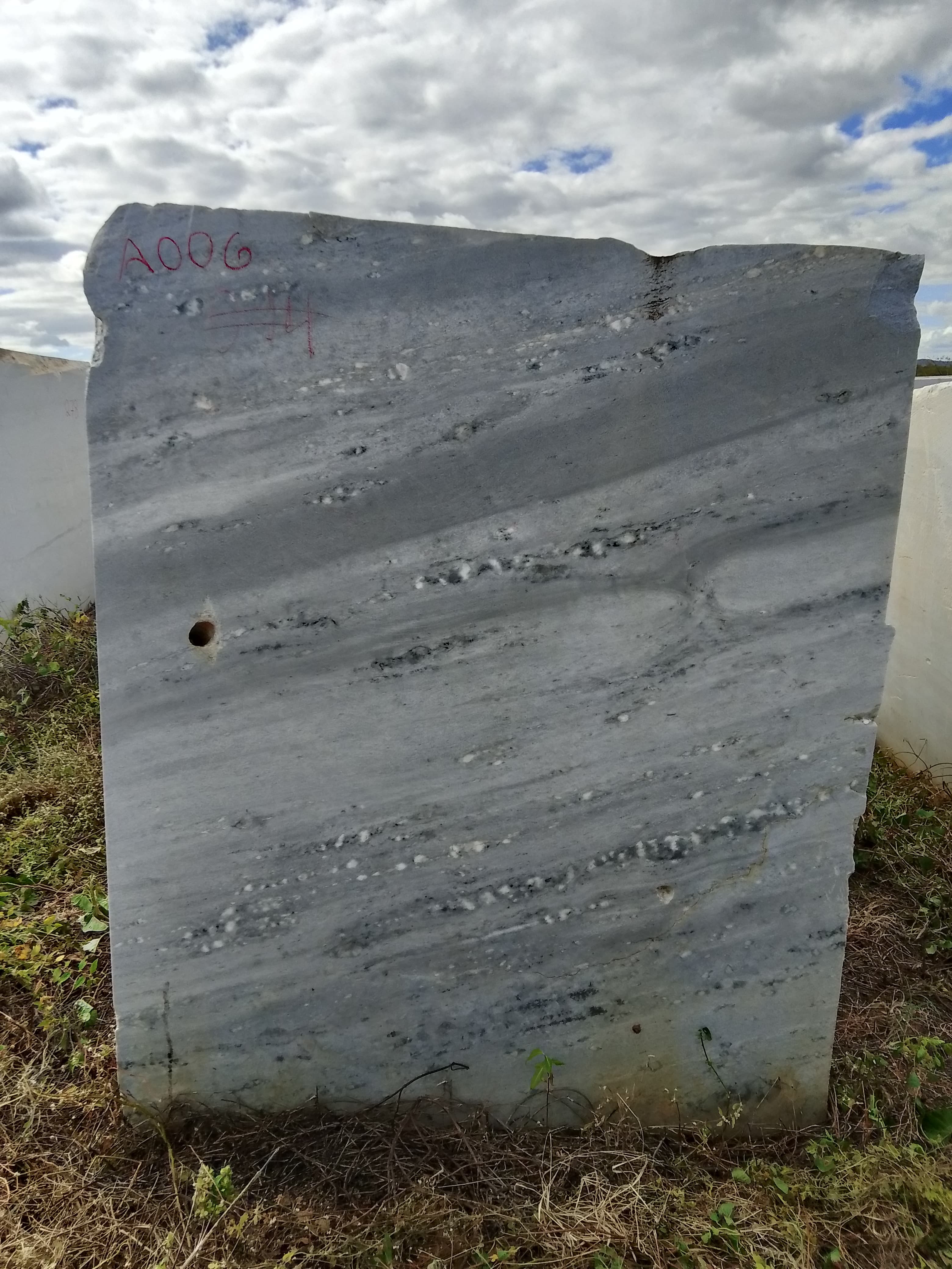 A006